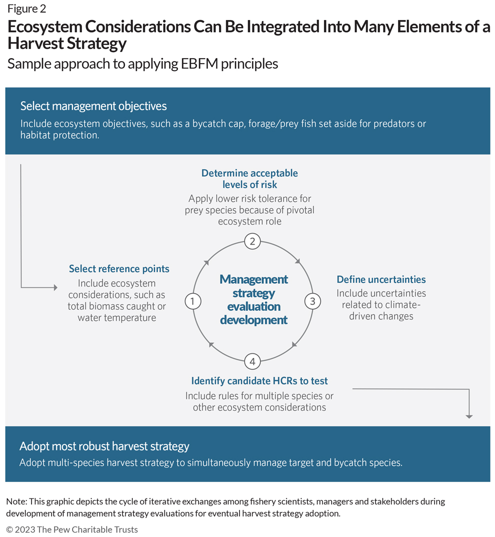 Ecosystem Considerations Can Be Integrated Into Many Elements of a Harvest Strategy | Sample approach to applying EBFM principles | Select management objectives: Include ecosystem objectives, such as a bycatch cap, forage/prey fish set aside for predators or habitat protection. 1. Select reference points. 2. Determine acceptable levels of risk. 3. Define uncertainties. 4. Identify candidate HCRs to test. Adopt most robust harvest strategy. Adopt multi-species harvest strategy to simultaneously manage target and bycatch species. Note: This graphic depicts the cycle of iterative exchanges among fishery scientists, managers and stakeholders during development of management strategy evaluations for eventual harvest strategy adoption.