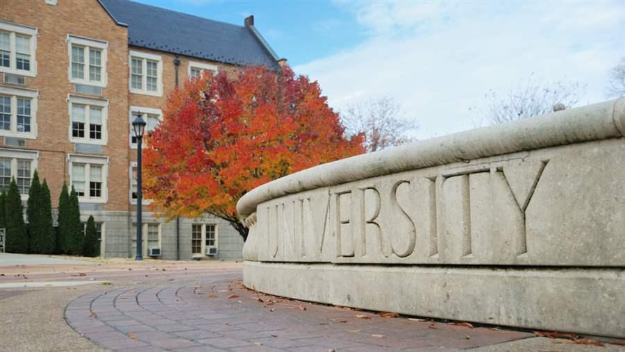 Higher Education